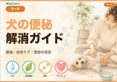 犬の便秘の原因と解消法