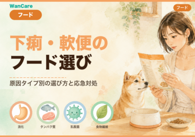 犬の下痢・軟便に効くドッグフードと対処法