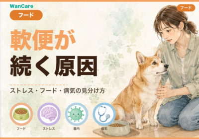 犬の軟便が続く原因
