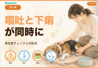犬の嘔吐と下痢が同時に起きたら